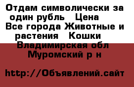 Отдам символически за один рубль › Цена ­ 1 - Все города Животные и растения » Кошки   . Владимирская обл.,Муромский р-н